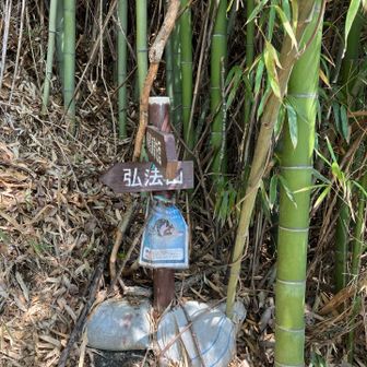 鶴巻温泉駅からの登り口から。
