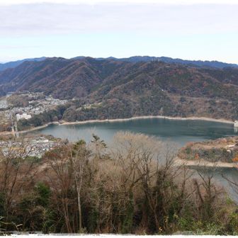 眺めはこちら。
奥に見えるが高尾山でしょうか。