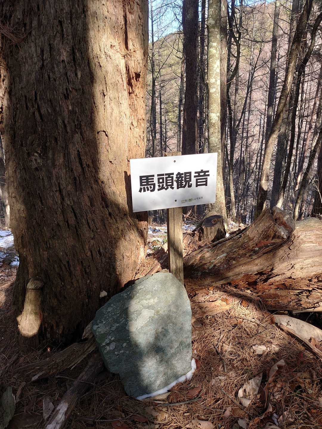 色々ある