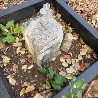 色々飾られているが、たぶん観光客のわすれもの。