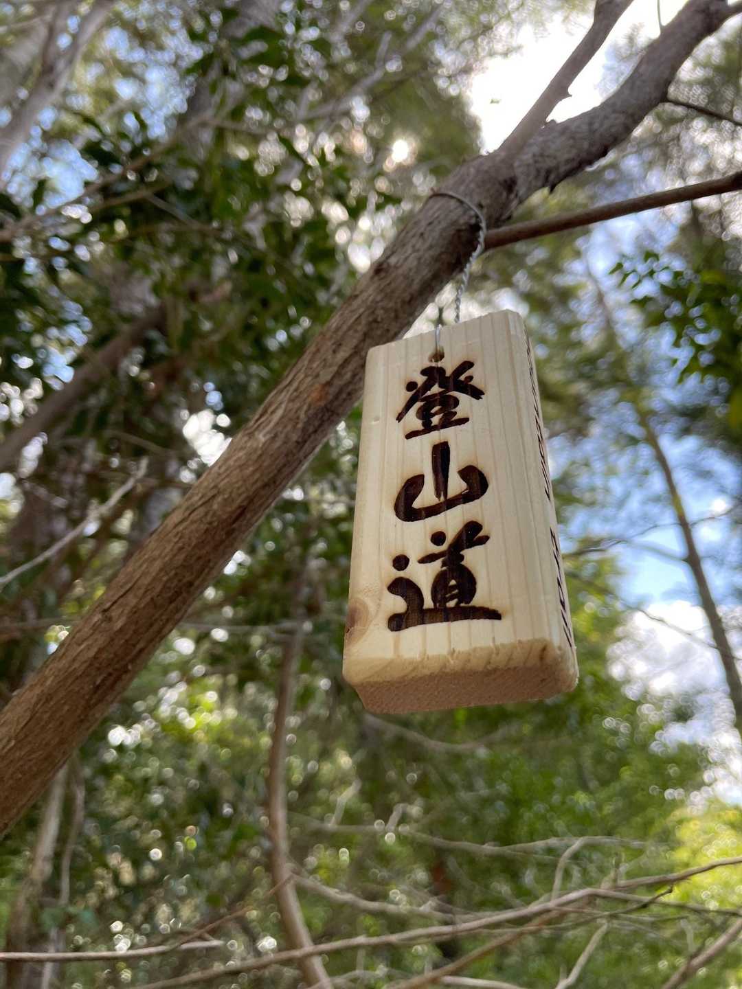 頂上で登山道の標識，たくさんつけたよと聞いたので，注意深く見つけたよ。