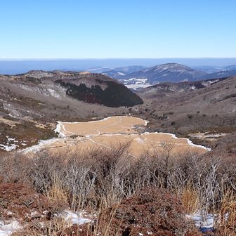立中山からのボウガツル