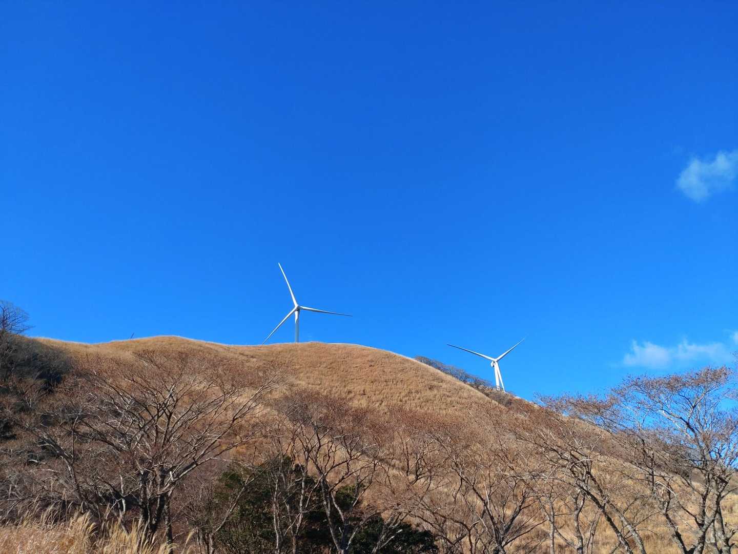 伊豆半島の大パノラマを楽しむ三筋山の写真
