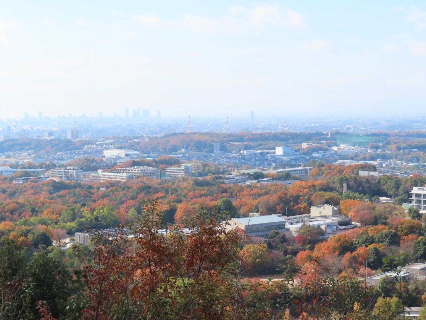 あっという間に到着（笑）
🍁🍁