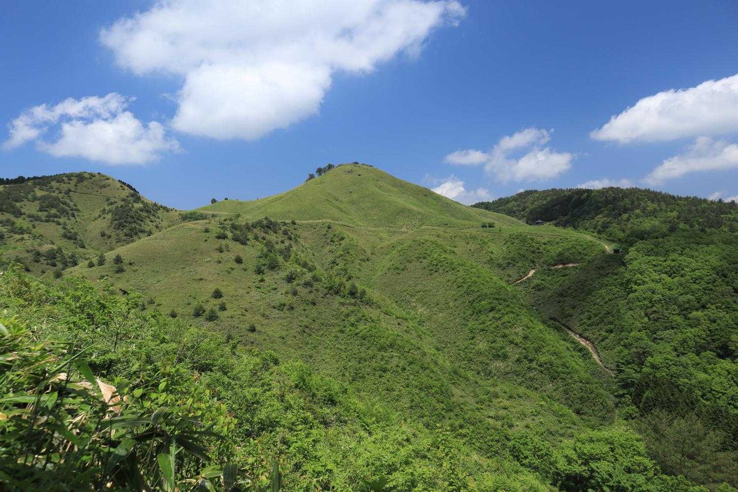 谷まで降りて登り返します