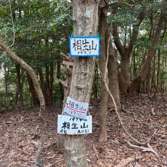 ここにくる地味にしんどかった