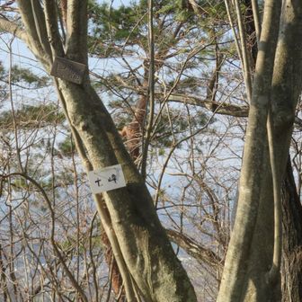 七峰。
ぼーっと歩いてたら巻道へ行っちゃったかも