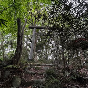 裏から入ってしまったせいでお怒りを買ったか…階段下りで滑って肘を打ってしまった💦