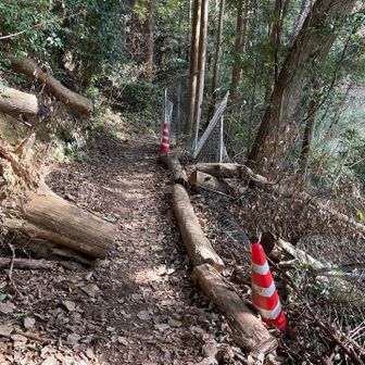 何かメチャ崩壊した痕跡が😨