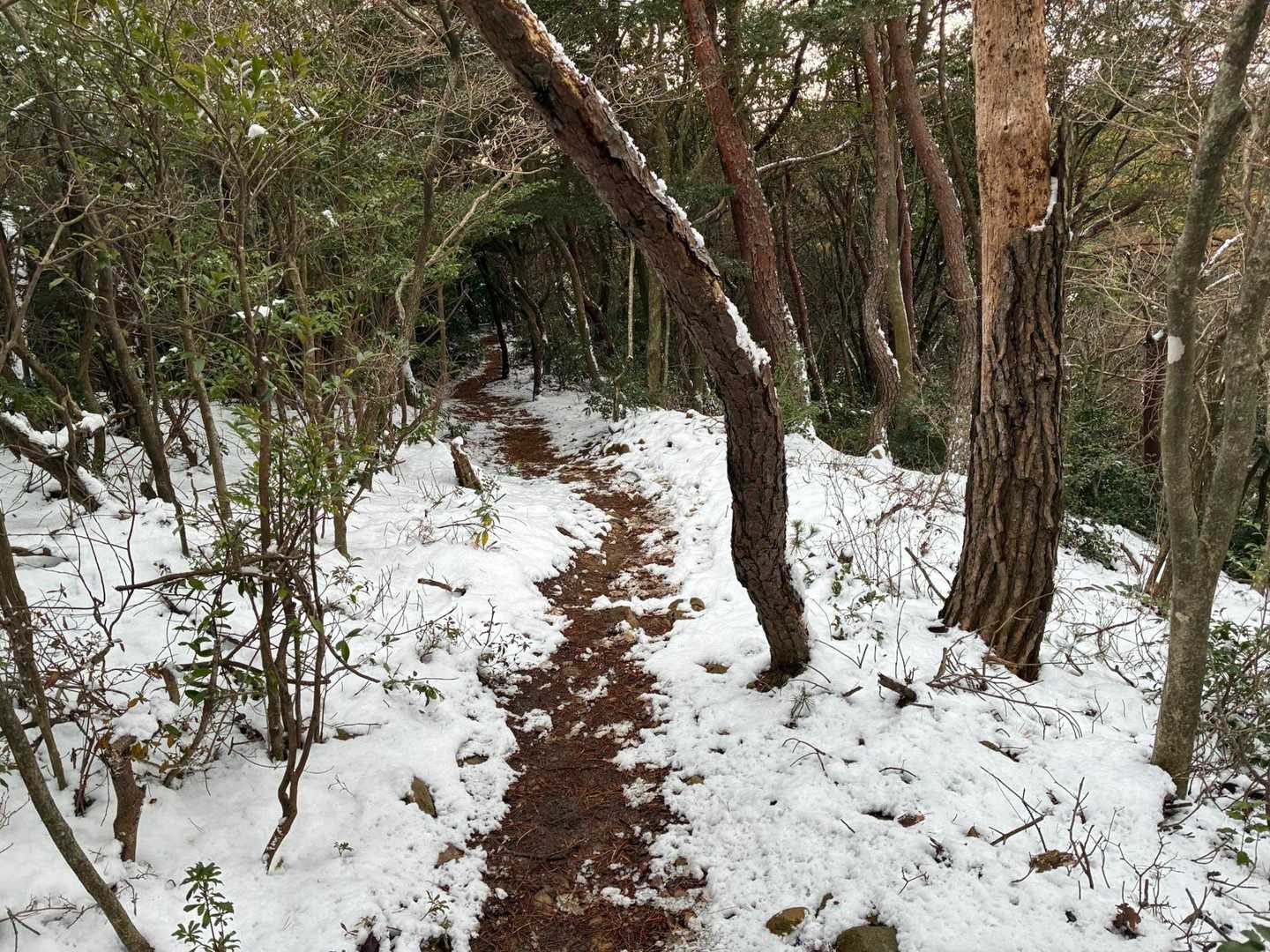 寒いよ🥶