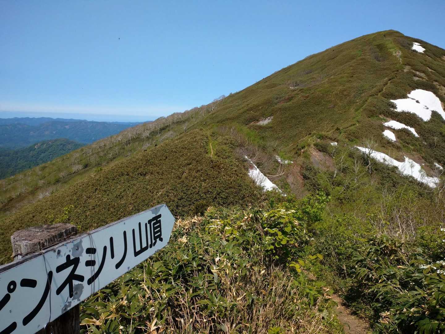 山頂見えてきました✨