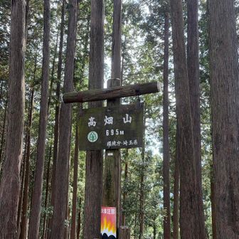 高畑山