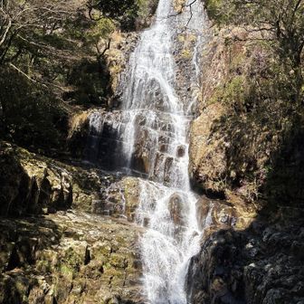 白滝です。今までの滝と比べても、圧倒的でした。