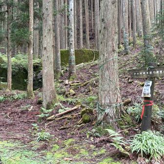 「アラキ峠を経て権現山」へ