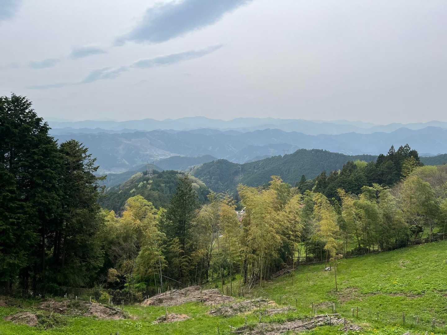 茶屋からの景色