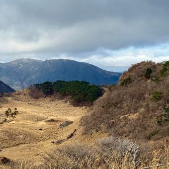雨ヶ池ルートまで薮掻き分けながら下りました💦