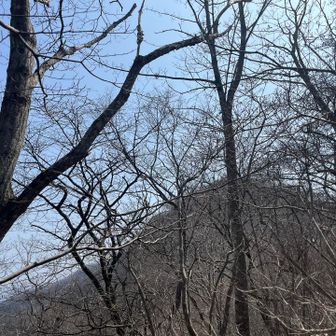 ほいでは撤収
登り返しが面倒くさっ