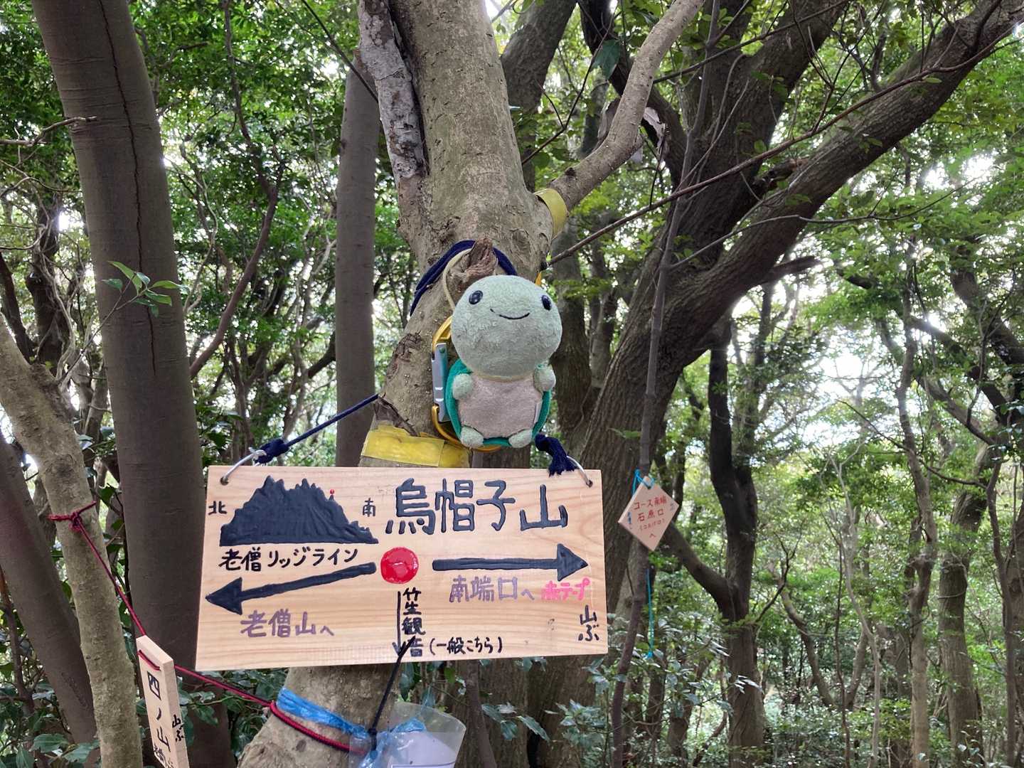 烏帽子山に着いたぁ～🤗