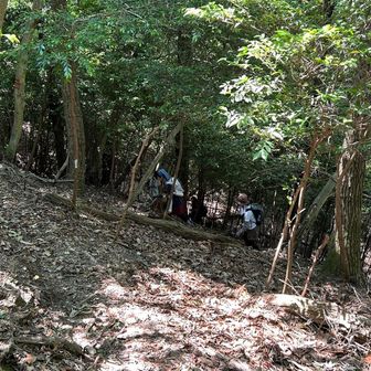 別の沢へ渡るために子鹿山を経由します✨