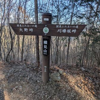 4ピーク目　横見山