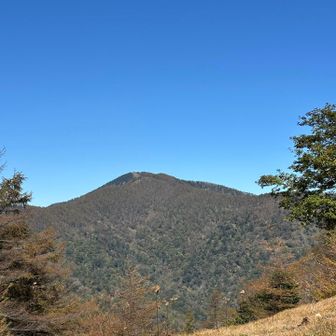 見えた。雲取山だ！やっぱり遠く感じます
