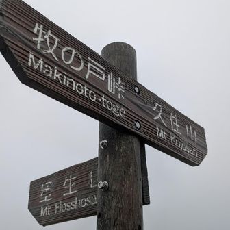 星生山登りますかね〜