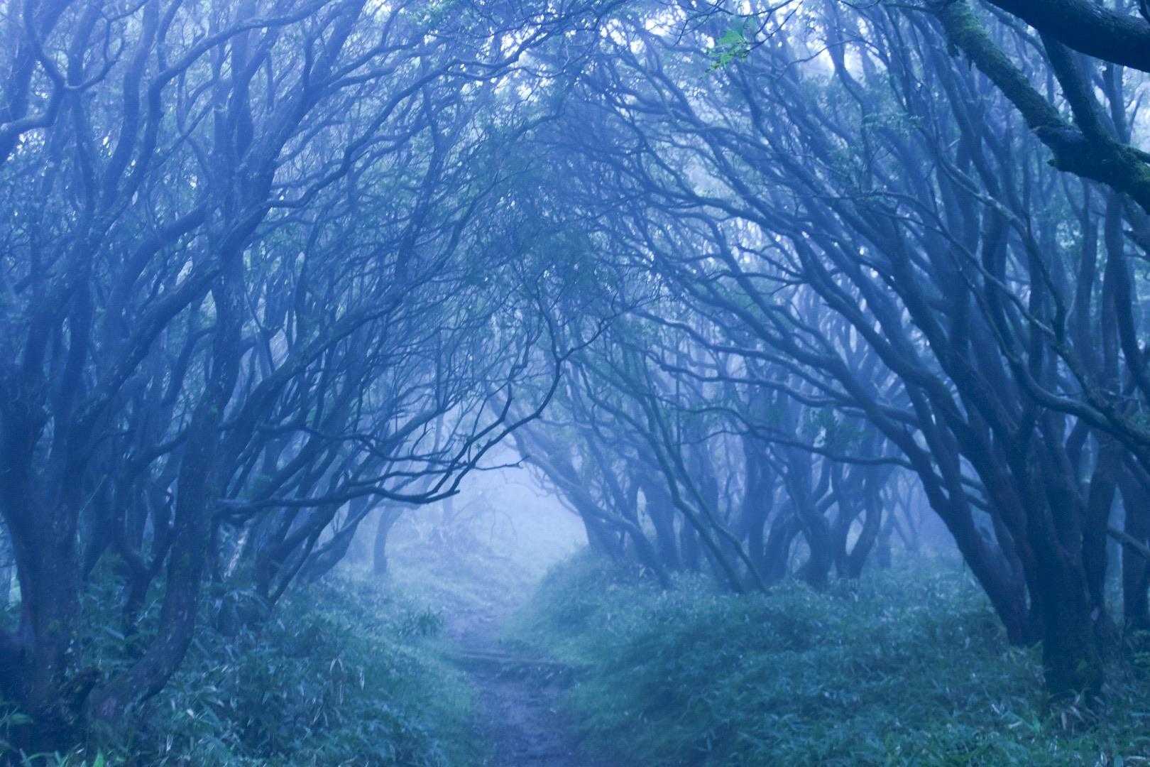 なかなか雰囲気あるな。👻