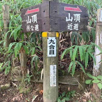 いつも 楽な道選びます😆