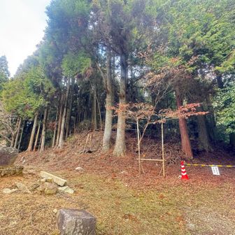 この先が山頂。
立ち入り禁止なので、少し周りをｳﾛｳﾛ…