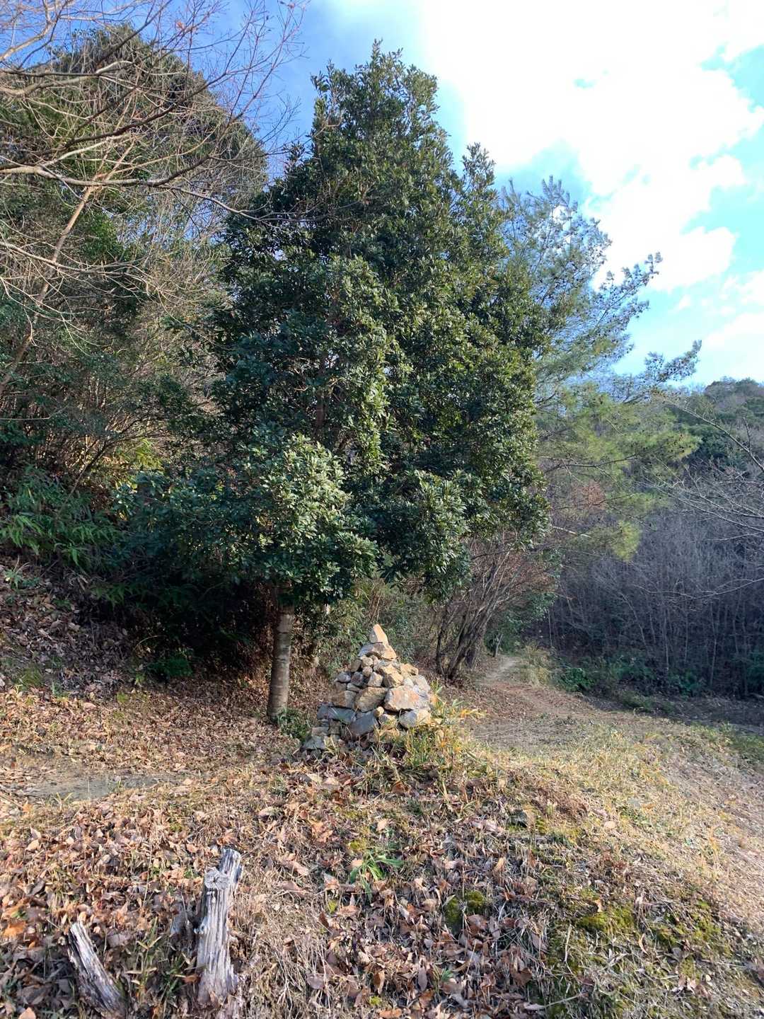 お邪魔致します〜右から〜🚶‍♀️〜