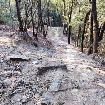 寒いのですぐにピストンで下山しました🏃

滑らないようにそろーりそろーり慎重に下っていきました⬆️