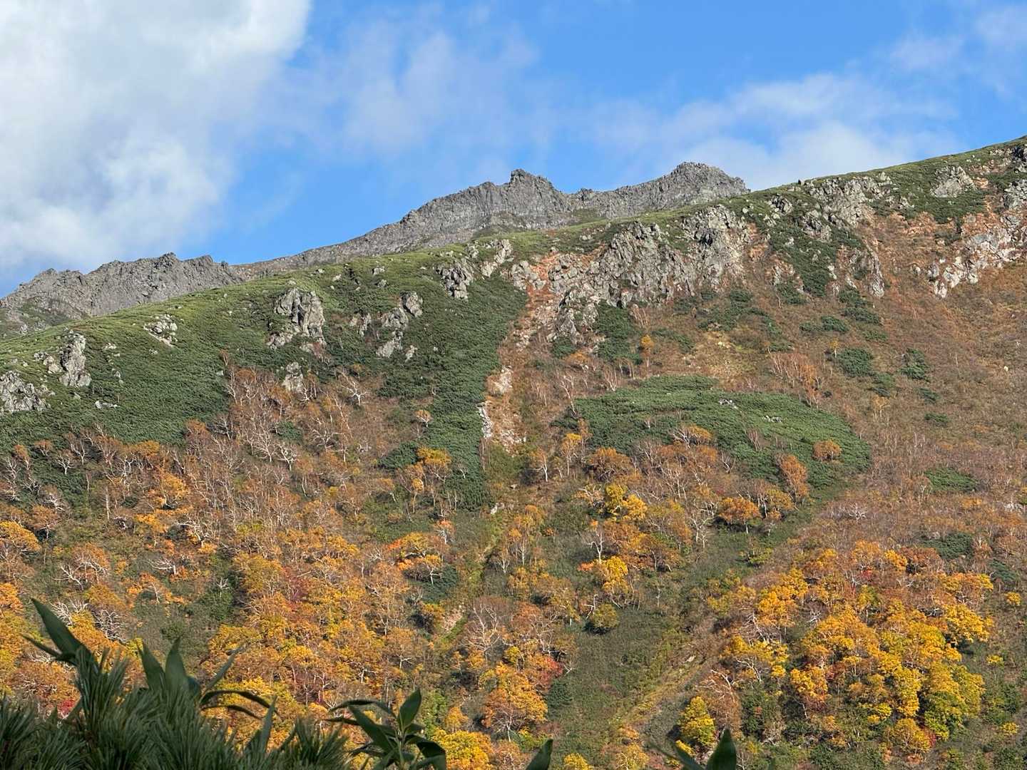 愛別岳