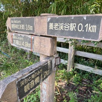 案内所で聞いたお勧めの観音橋へ、
大福山は今回は諦めて次の機会に