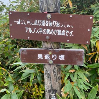 振り返れと言われ、振り返ってみます