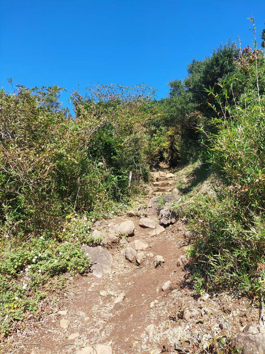 金時登山口バス停-金時山 往復コースの写真