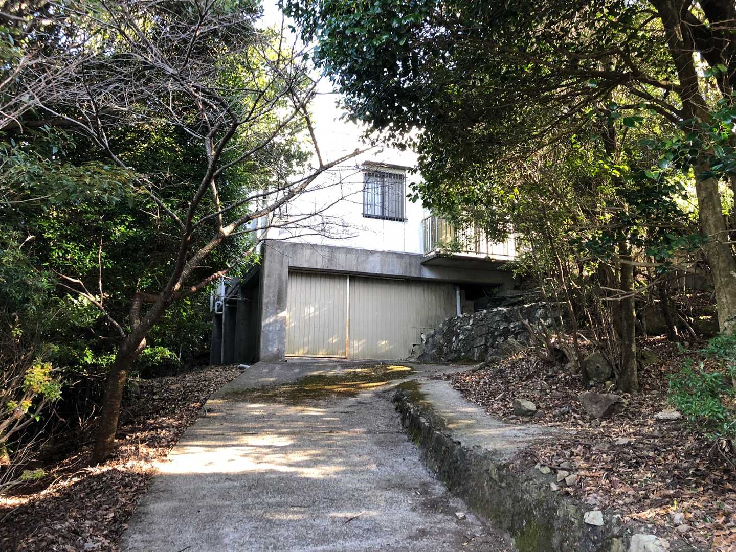 明神山 往復コースの写真