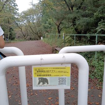 ここにも