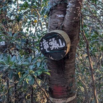 ピーク沢山ありました。