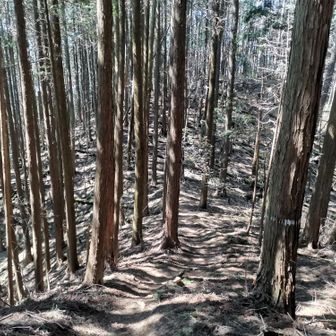 更に下山します。いい道👌