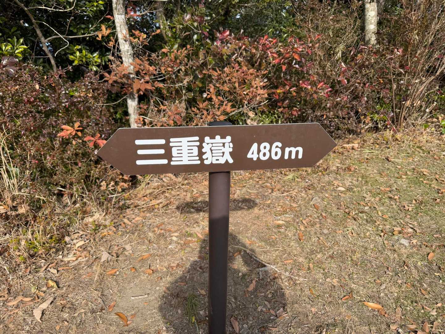 着いた🙌