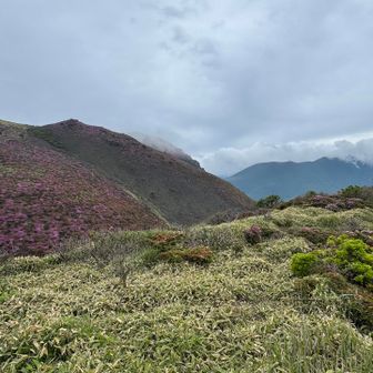 奥に大船山