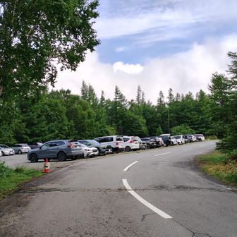 駐車場はちょうど出る人がいて、辛うじて停められました