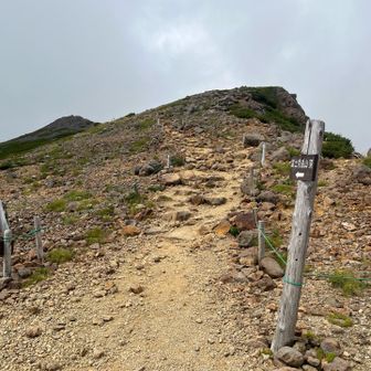 富士見岳へ