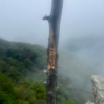 活動報告に載せるかとっても悩みましたが…

本日、先に雨乞岩で活動されている方に言われた場所を見てみましたら…😭

善意なのかな❓
他のやり方は無かったのでしょうか🥲
元の状態にはもう戻りませんし…なんかとってもショックでした🥲その方もこの木が大好きだったのでショックで呆然としておりました😭

わかりやすくて喜んでくれる方もいると思うのであくまでも個人的な感想です
