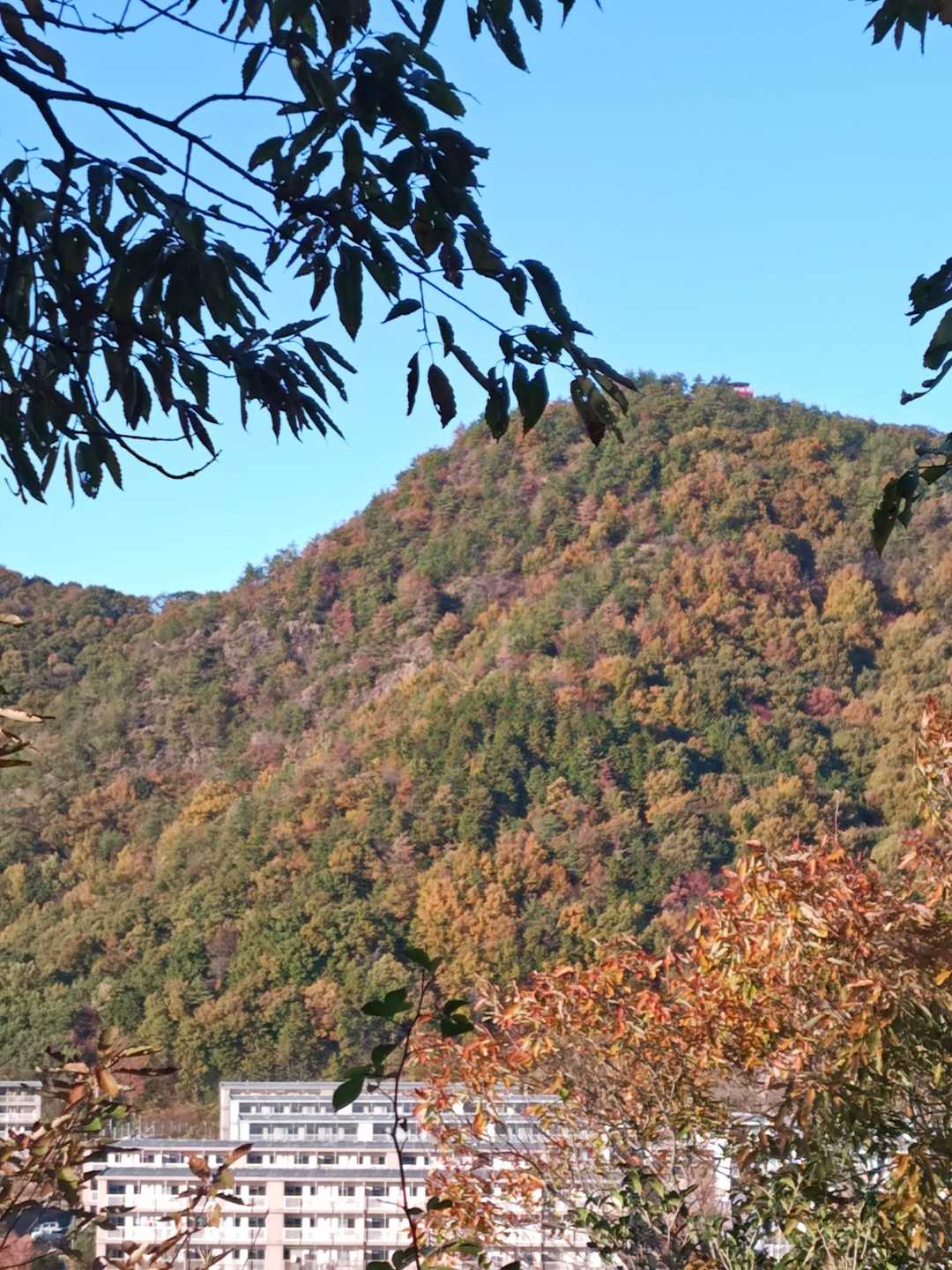 先ほどまでいた三峰山
赤いテラスが小さく見えました