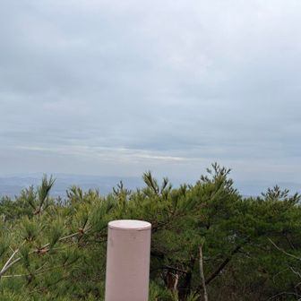 晴れてれば富士山見えそう