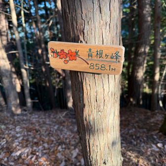 青根ヶ峰
縦走も終盤です