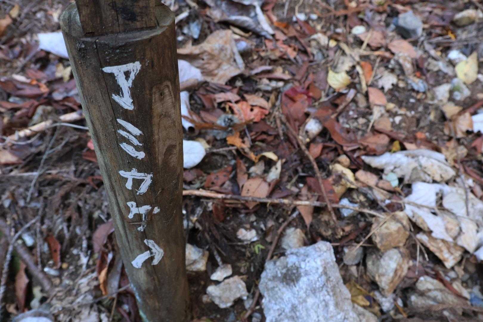いい感じの案内🤭