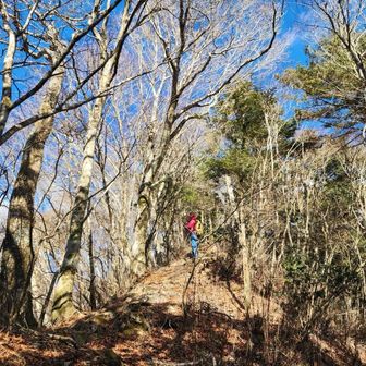 ichao( ｰ̀дｰ́)و