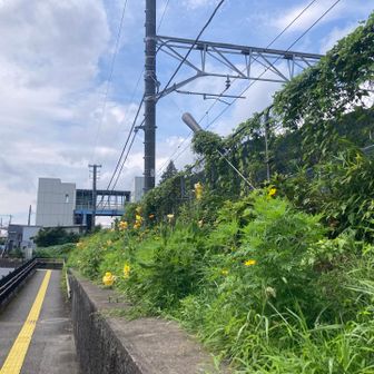 藤野駅
おつかれ山でした!!